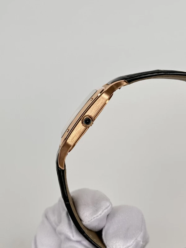 Cartier WGSA0032 6