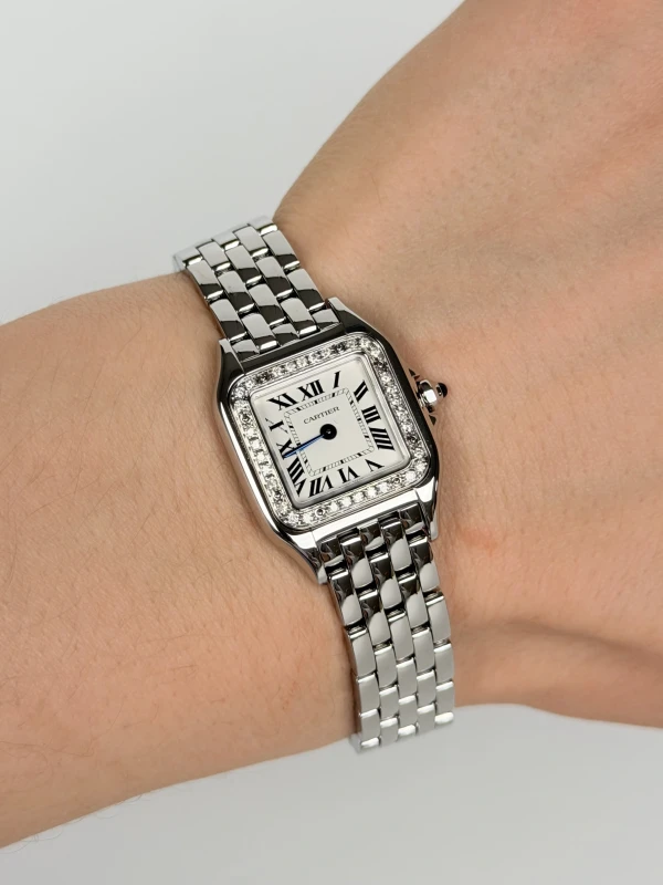 Cartier DE CARTIER WSPN0006FIX 4