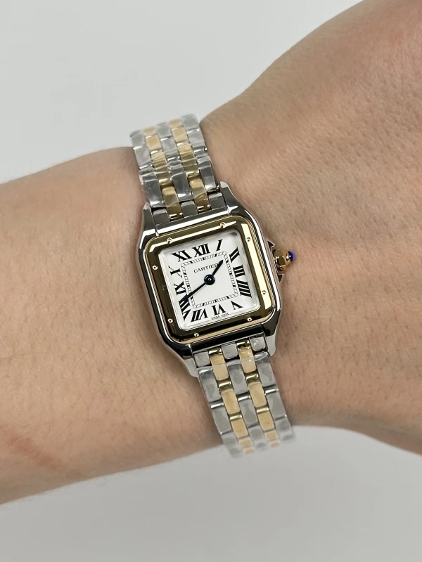 Cartier DE CARTIER W2PN0013 5