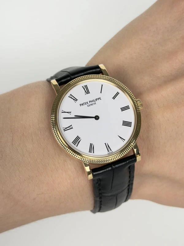 Patek Philippe 5120 5120J-001 6