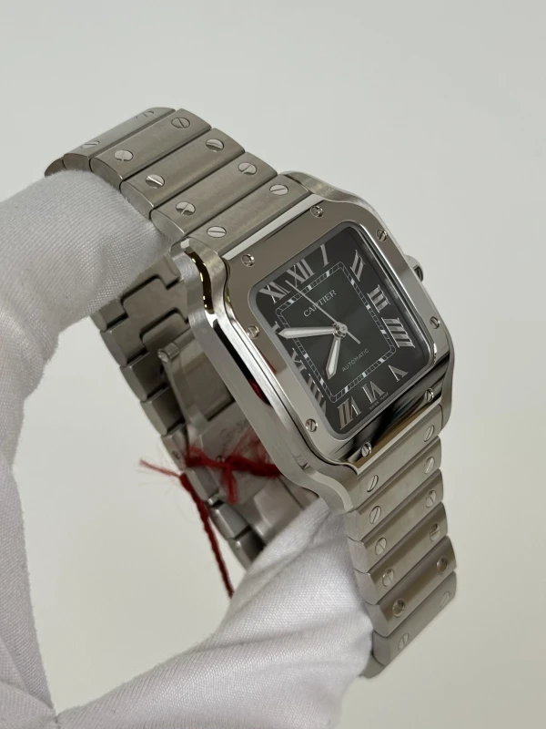 Cartier WSSA0061 2