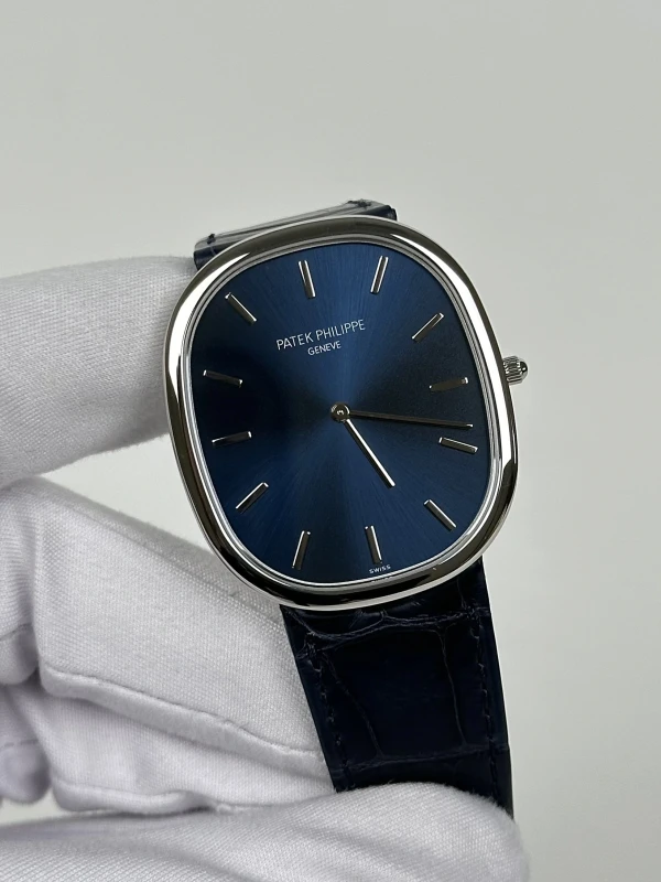 Patek Philippe 5738 5738P-001 3