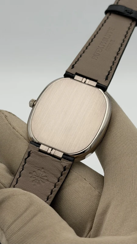 Patek Philippe Grisaille Foret L’‎ours 5738/50G-034 7