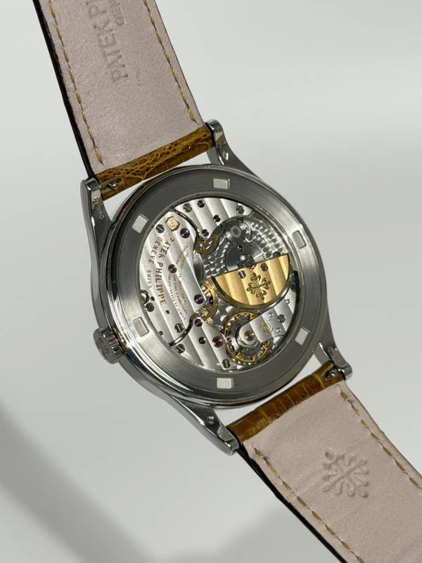 Patek Philippe Indien d'Amerique a Cheval 4 5077P-060 7