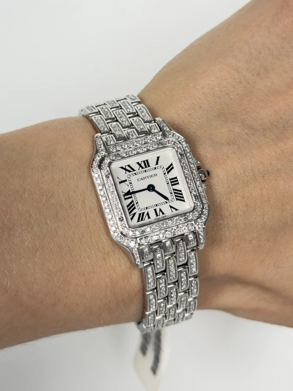 Cartier de Cartier WSPN0015FIX 5