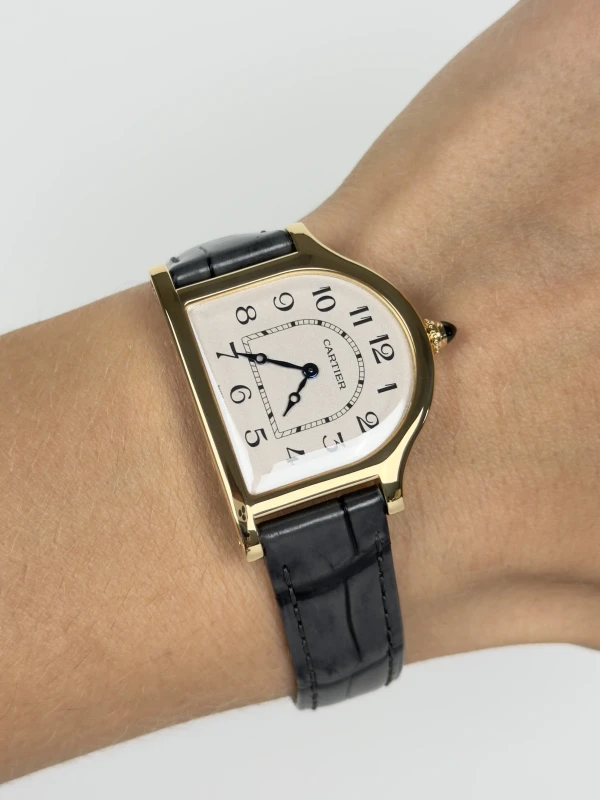 Cartier WHCC0008 6