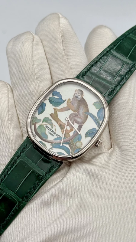 Patek Philippe Monkey 5738/50G-014 5