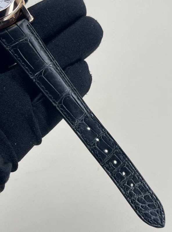 Patek Philippe Calendar Perpetual Calendar Retrograde 5059R 6