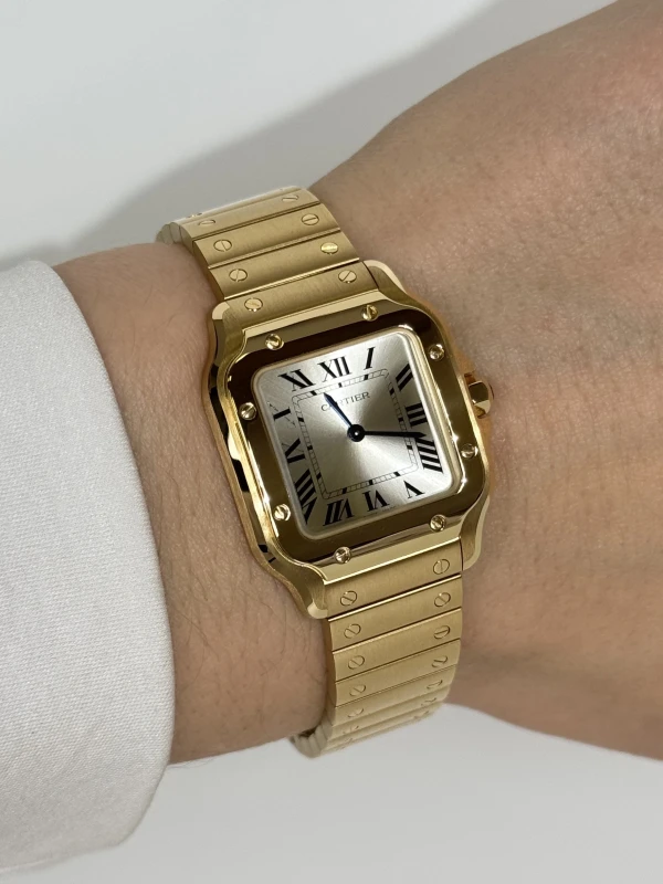 Cartier WGSA0107 5