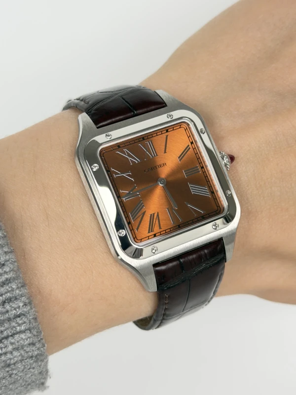 Cartier WGSA0113 6