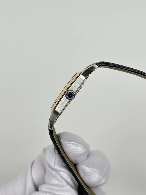 Cartier W2SA0028 6