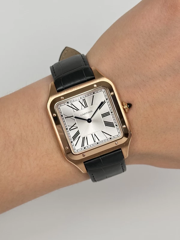 Cartier WGSA0032 9