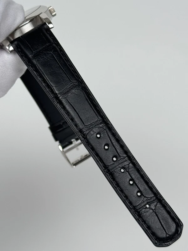 A. Lange & Sohne Perpetual 310.025 8