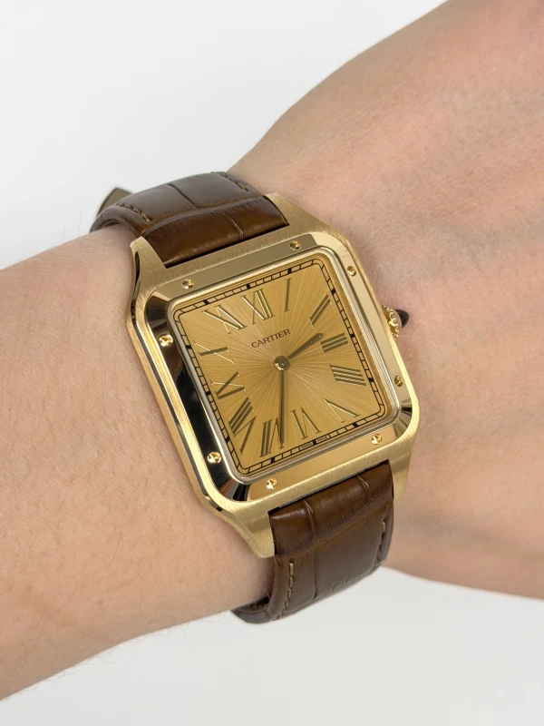 Cartier WGSA0111 6