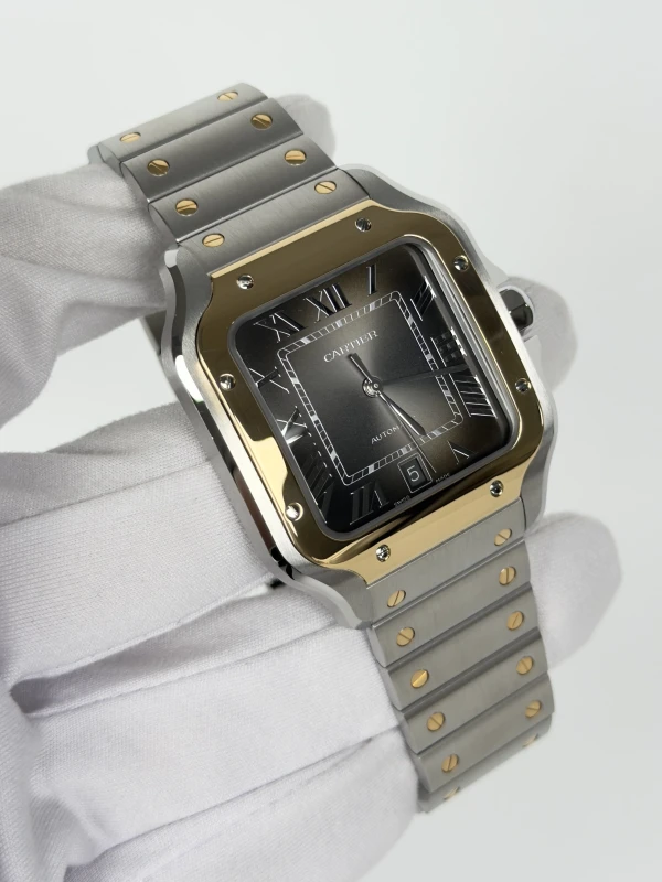 Cartier Large W2SA0030 2