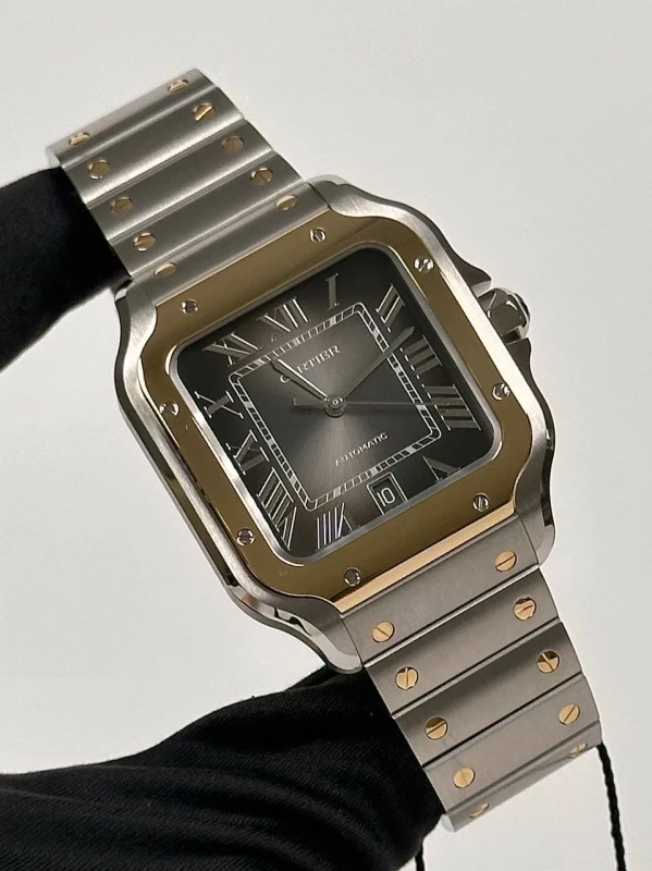 Cartier Large W2SA0030 2