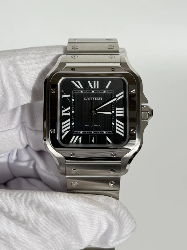 Cartier WSSA0096 3