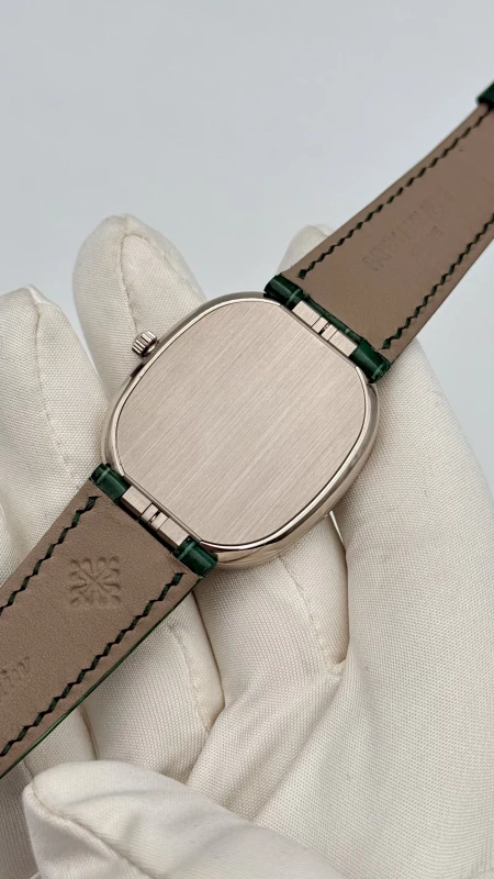 Patek Philippe Monkey 5738/50G-014 7
