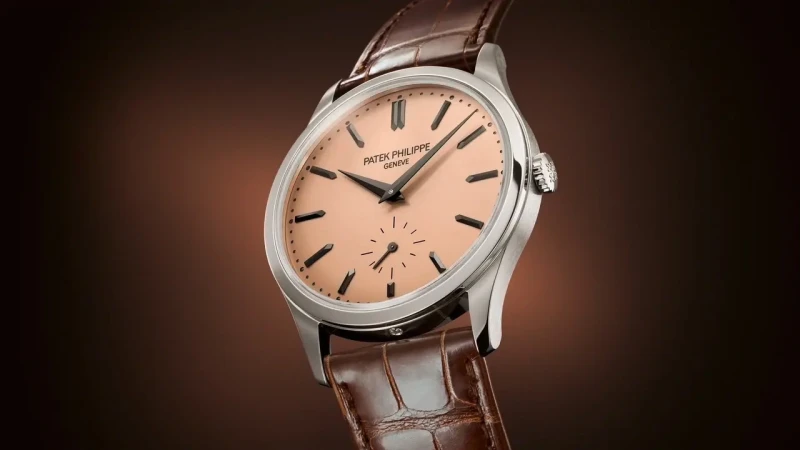 Patek Philippe Calatrava 6196P-001 2