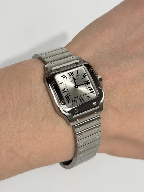 Cartier WSSA0082 5