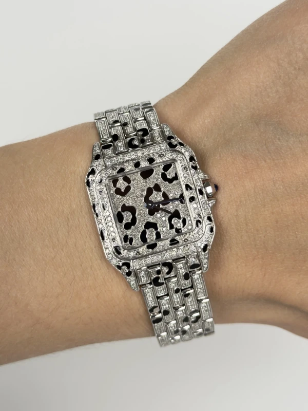 Cartier de Cartier WSPN0007 Tuning 5