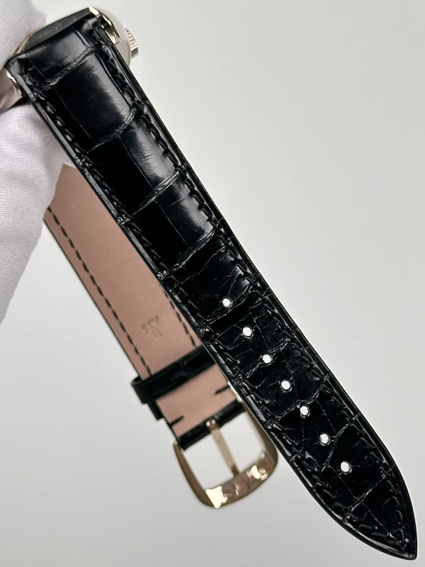 Franck Muller Curvex 6850B SC REL 7