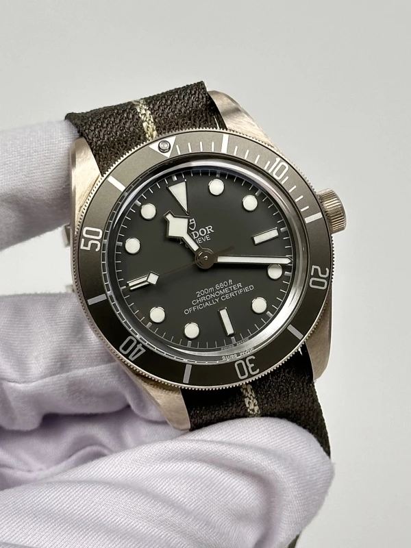 Tudor BLACK BAY 58 925 M79010SG-0001 3