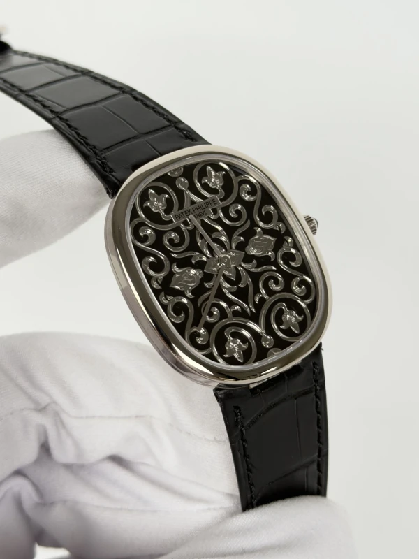 Patek Philippe 5738/51G-001 3