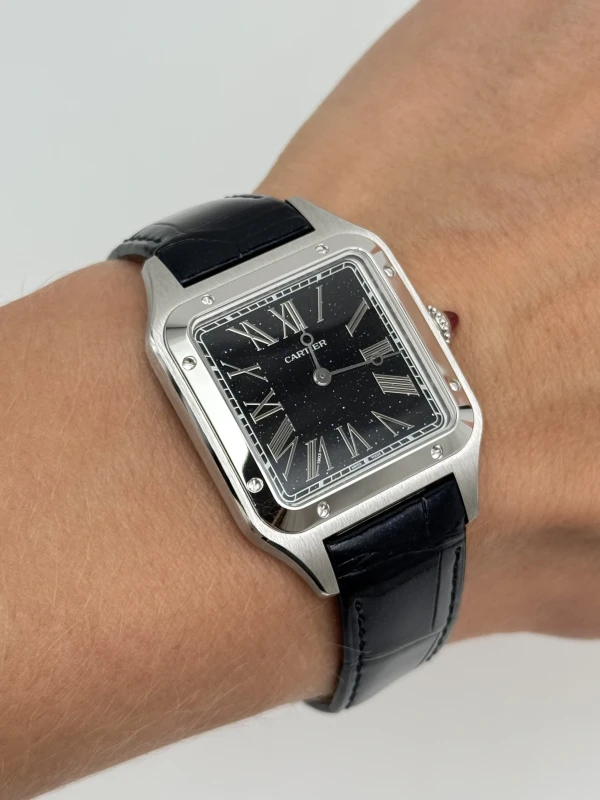 Cartier WGSA0099 6