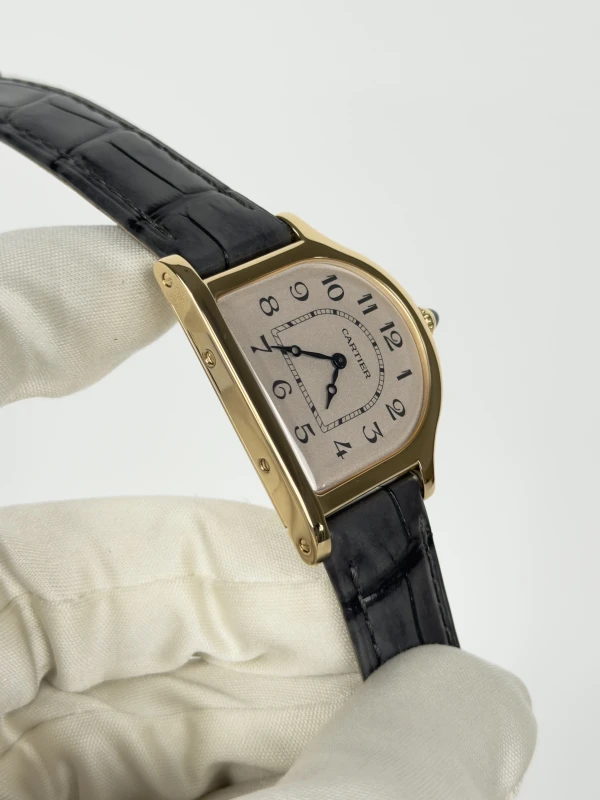 Cartier WHCC0008 2