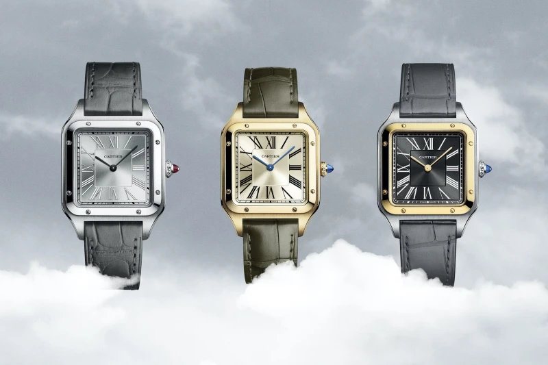 Cartier WGSA0034 3