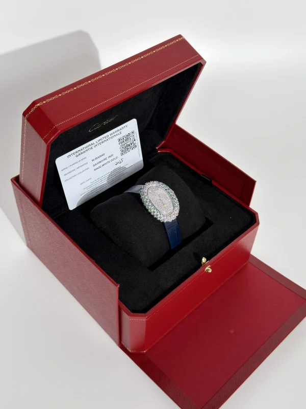 Cartier Baignoire WJBA0060 8