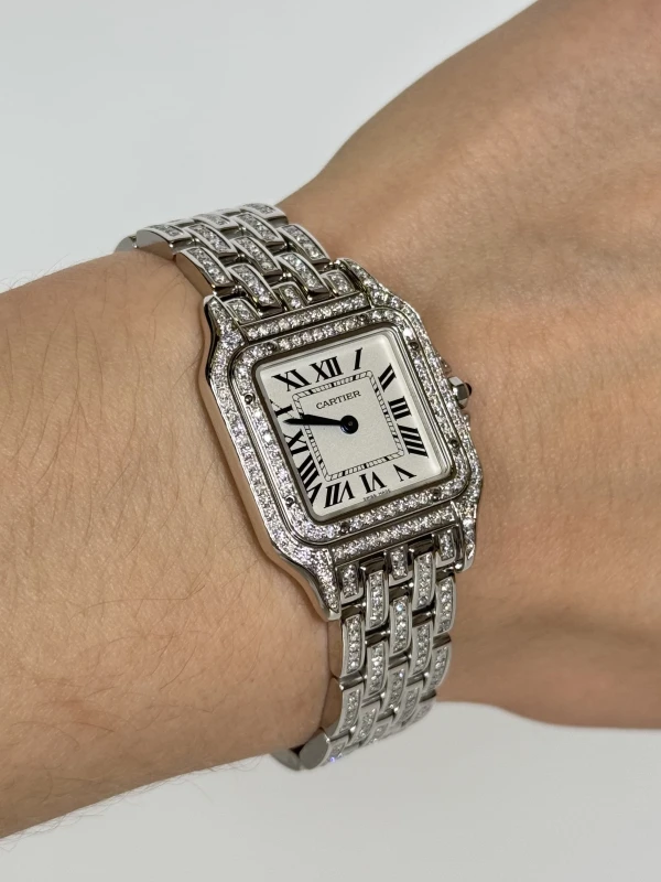 Cartier de Cartier WSPN0007 FIX 5