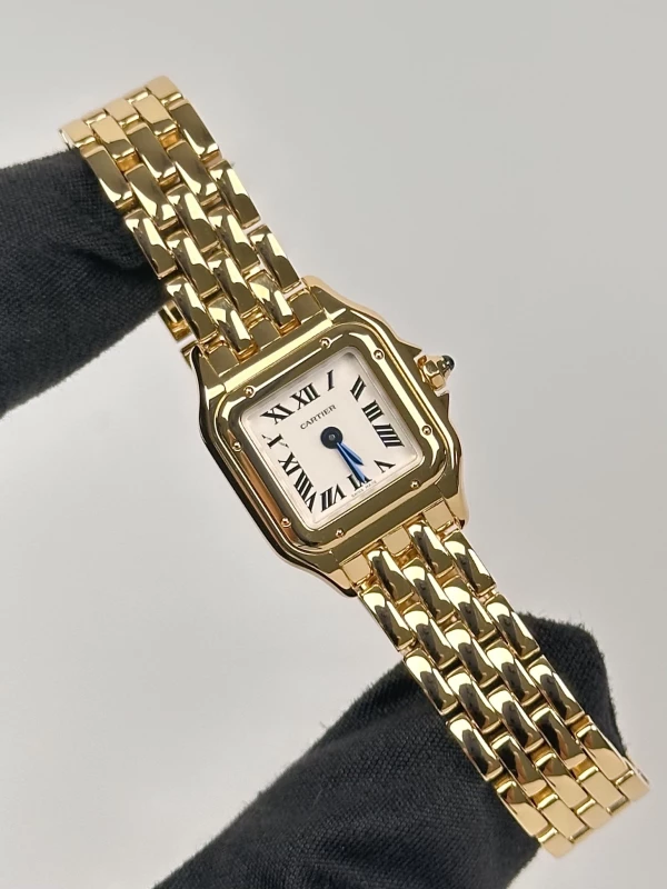 Cartier de Cartier WGPN0036 2