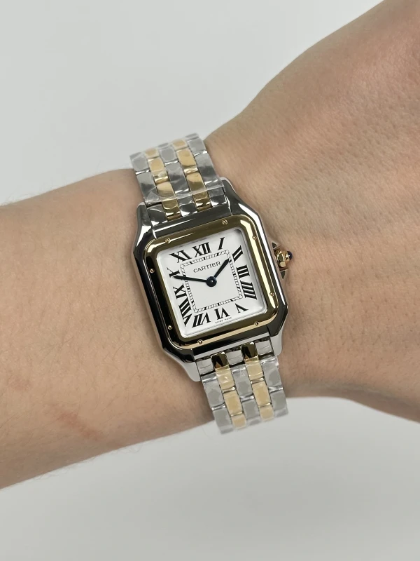 Cartier de Cartier W2PN0014 5