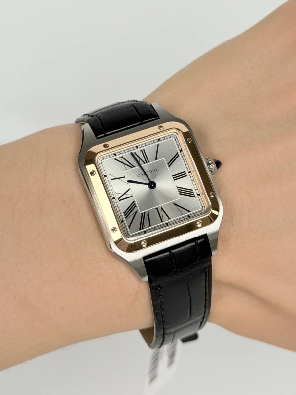 Cartier W2SA0037 6