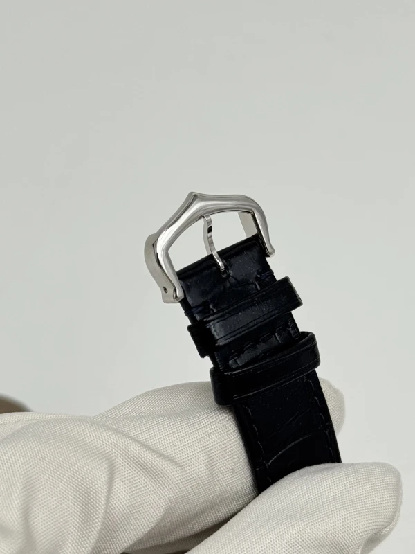 Cartier WGSA0099 5