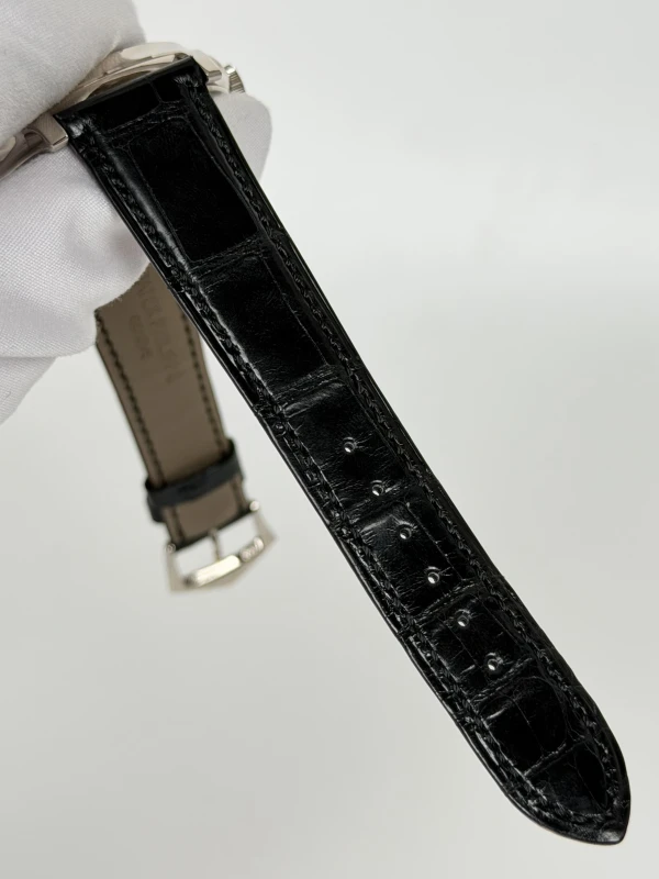 Patek Philippe ANNUAL CALENDAR 5205 5205G-013 4