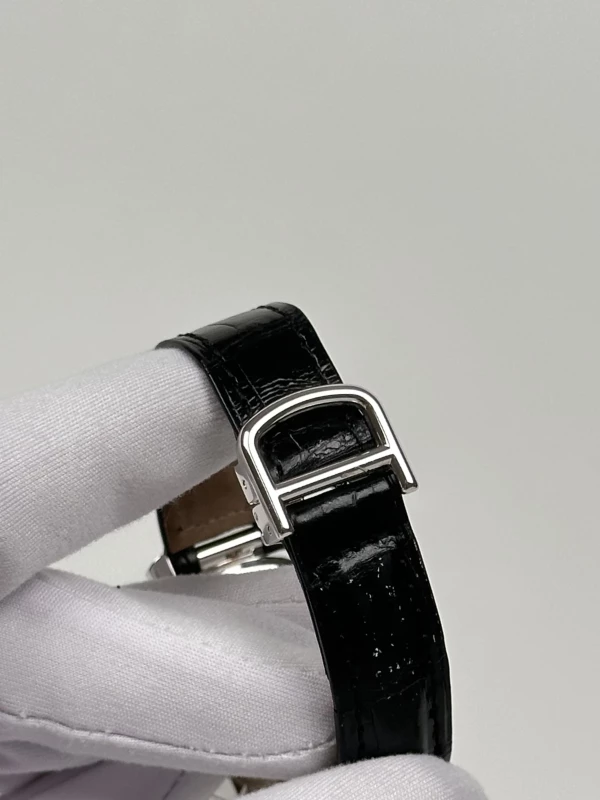 Cartier WJ108251 8
