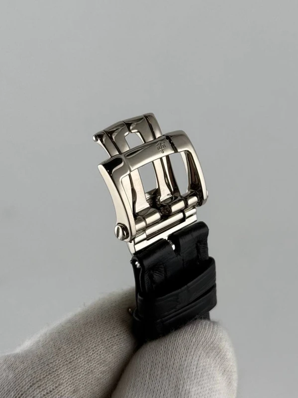 Ulysse Nardin GMT ± Perpetual 42mm 320-60 9