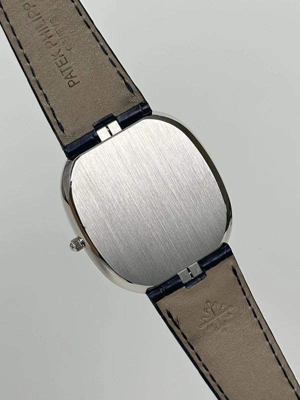Patek Philippe 5738 5738P-001 9