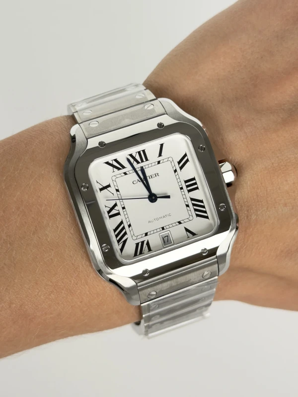 Cartier WSSA0018 4