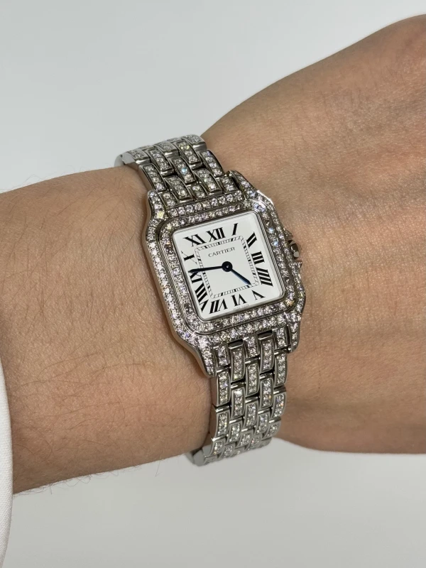 Cartier de Cartier WSPN0007 FIX 5