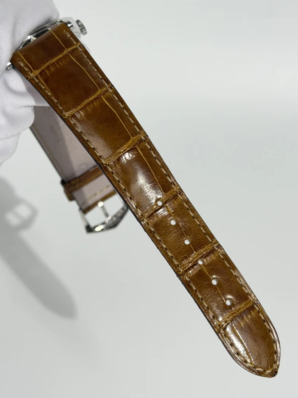 Patek Philippe Indien d'Amerique a Cheval 4 5077P-060 5