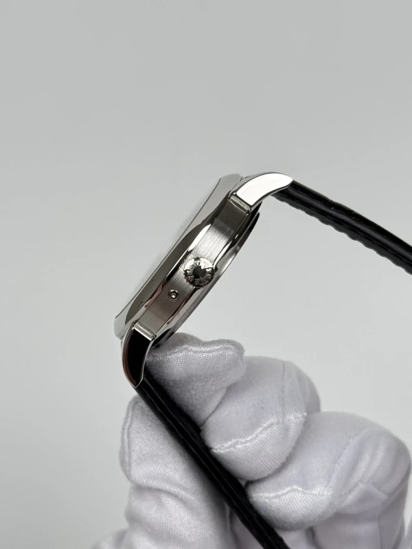 A. Lange & Sohne Perpetual 310.025 7