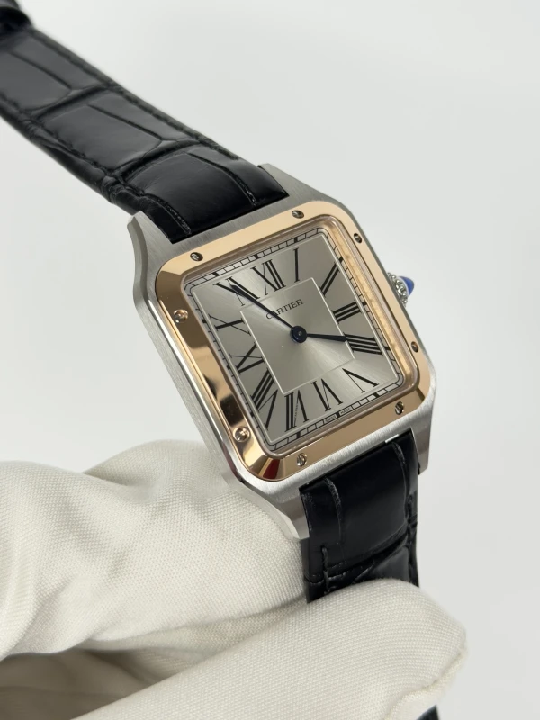 Cartier W2SA0011 2