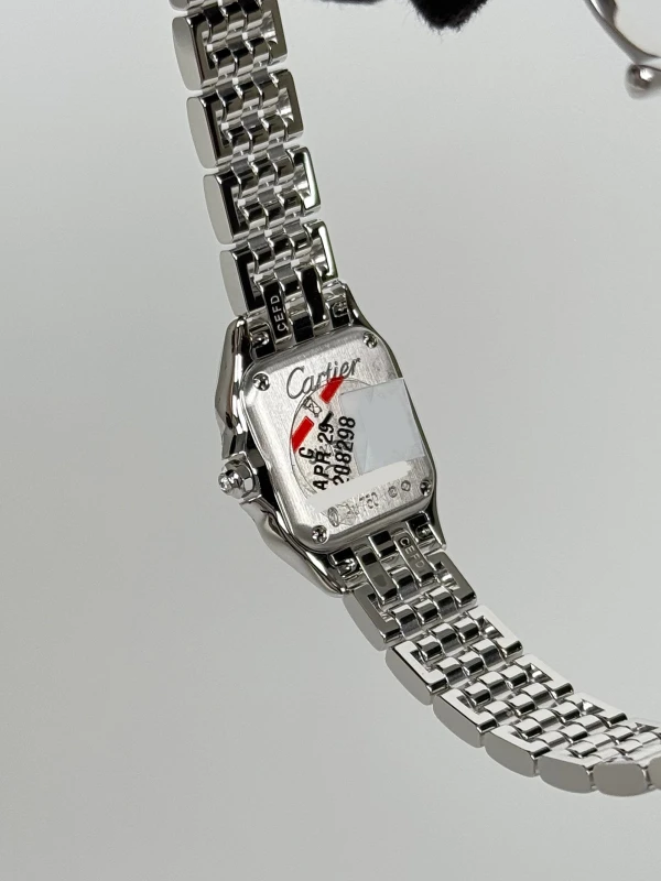 Cartier PANTHÈRE DE CARTIER WJPN0070 6