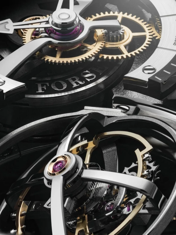 Greubel Forsey Tourbillon Cardan Tourbillon Cardan 6