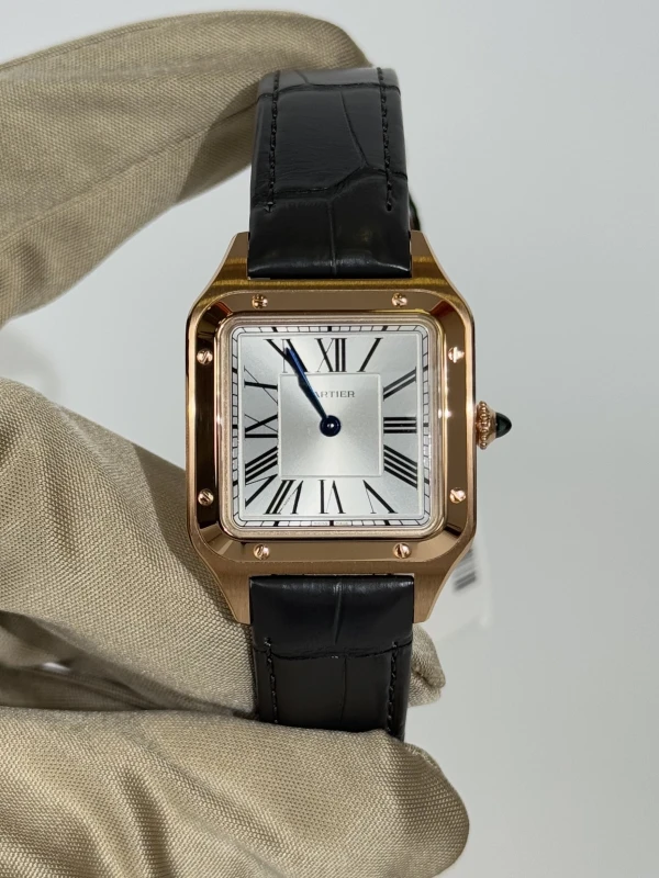 Cartier WGSA0117 2