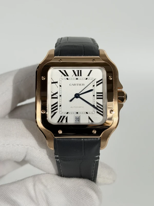 Cartier SANTOS DE CARTIER WGSA0019 2
